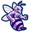 Chamblee High School Football opponent logo